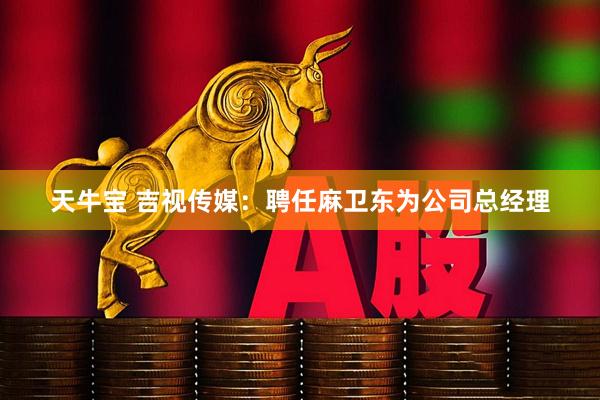 天牛宝 吉视传媒：聘任麻卫东为公司总经理