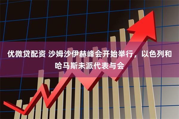 优微贷配资 沙姆沙伊赫峰会开始举行，以色列和哈马斯未派代表与会